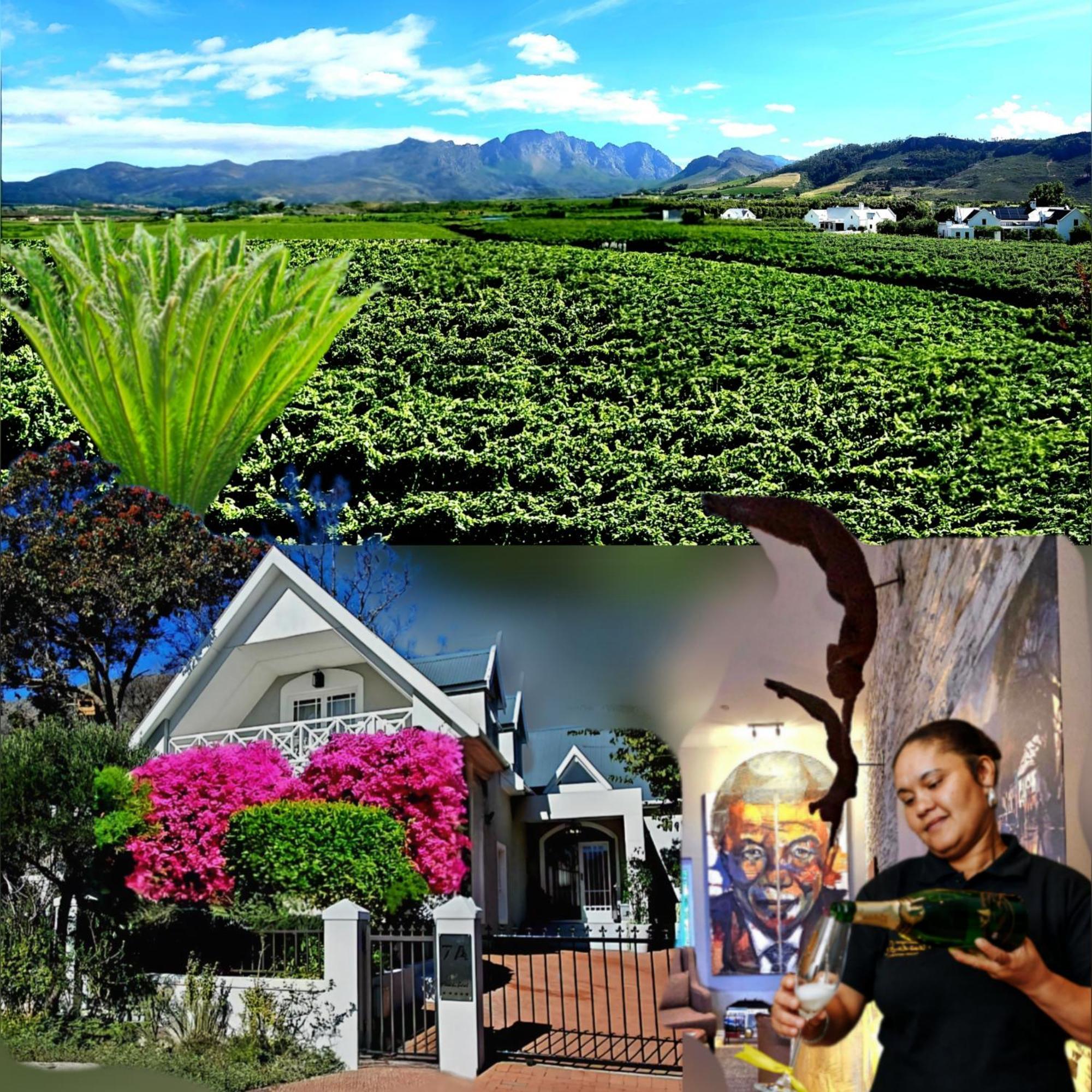 弗朗斯胡克 太阳花豪华旅馆酒店 外观 照片